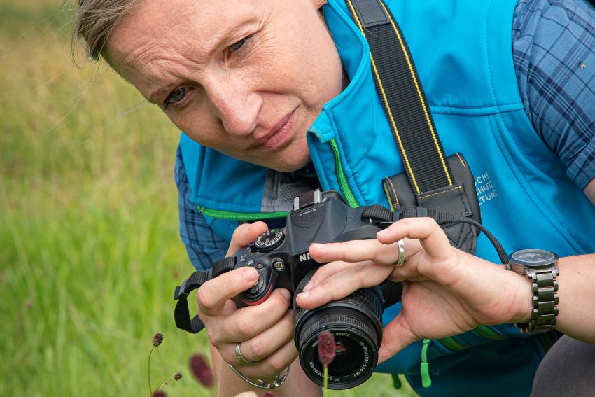Naturtalent Manuela Kern fotografiert einen Wiesenknopf mit einem sich darauf befindenden Wiesenknopf-Ameisenbläulings.