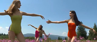 Ballett und Wildnis