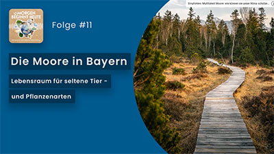 Das Bild zeigt einen Weg aus Holz, der über eine Moorlandschaft auf einen Wald zuführt. Auf blauem Hintergrund steht in weisser Schrift der Titel der Folge 'Die Moore in Bayern - Lebensraum für seltene Tier- und Pflanzenarten' Links oben ist das Logo der Podcastreihe zu sehen.