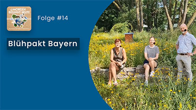Das Bild zeigt drei Personen inmitten einer gelb blühenden Blumenwiese. Auf blauem Hintergrund steht in weisser Schrift der Titel der Folge 'Blühpakt Bayern - für Insektenvielfalt und Artenreichtum' Links oben ist das Logo der Podcastreihe zu sehen.
