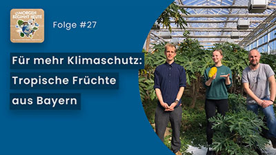 Das BIld zeigt drei Personen in einem tropischen Gewächshaus. Auf blauem Hintergrund steht in weisser Schrift der Titel der Folge 'Für mehr Klimaschutz: Tropische Früchte aus Bayern' Links oben ist das Logo der Podcastreihe zu sehen.