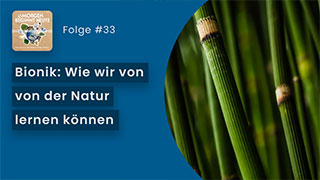 Das Bild zeigt Bambusstäbe. Auf blauem Hintergrund steht in weisser Schrift der Titel der Folge 'Bionik - wie wir von der Natur lernen können' Links oben ist das Logo der Podcastreihe zu sehen.