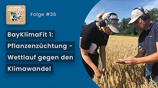 Titelbild des Podcasts Nummer 36 mit Aufschrift Bayklimafit 1