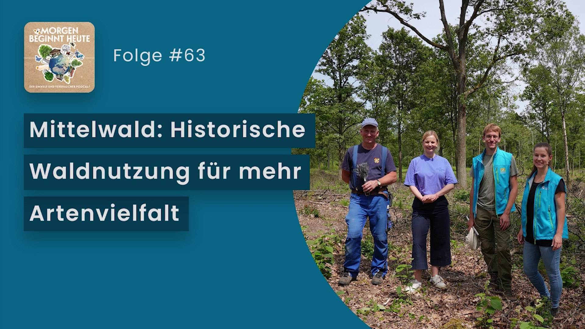 Das Bild zeigt vier Menschen im Wald