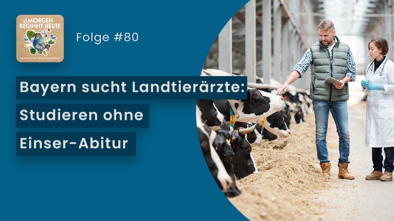 Vorschaubild des Videos