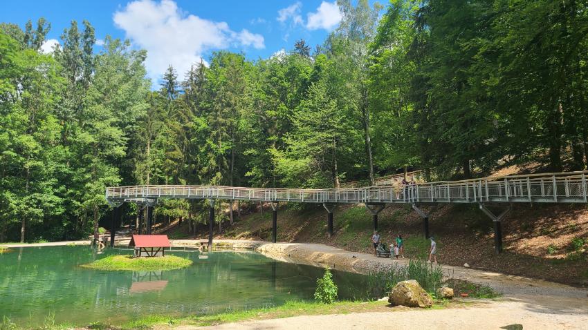 Weiher im Wildpark Hundshaupten, Autorin: Lisa Winzer