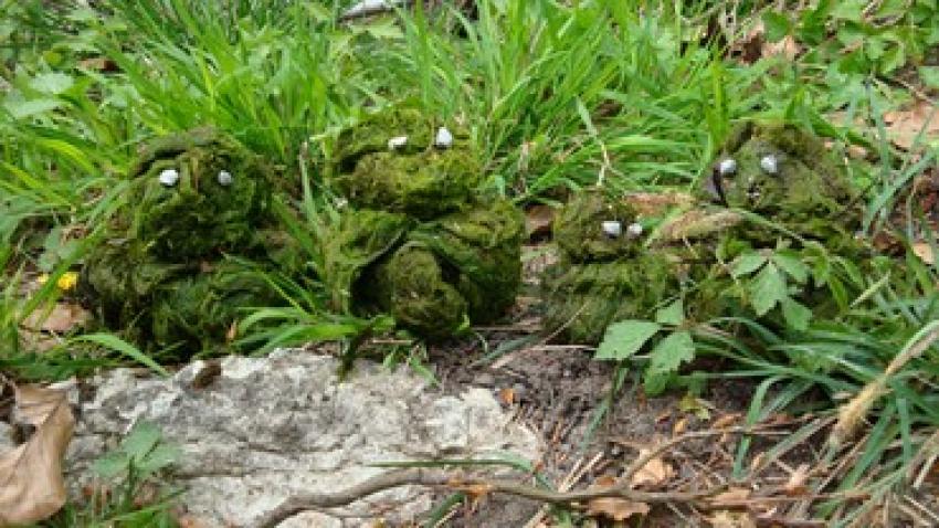 Abenteuer Natur - Naturkunst mit Graswesen (Urheberin: Doris Nebel)