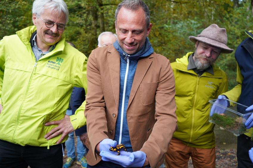 Bild vergrössert sich per Mausklick - >Termin - Auftaktveranstaltung Artenhilfsprogramm Feuersalamander in Bayern