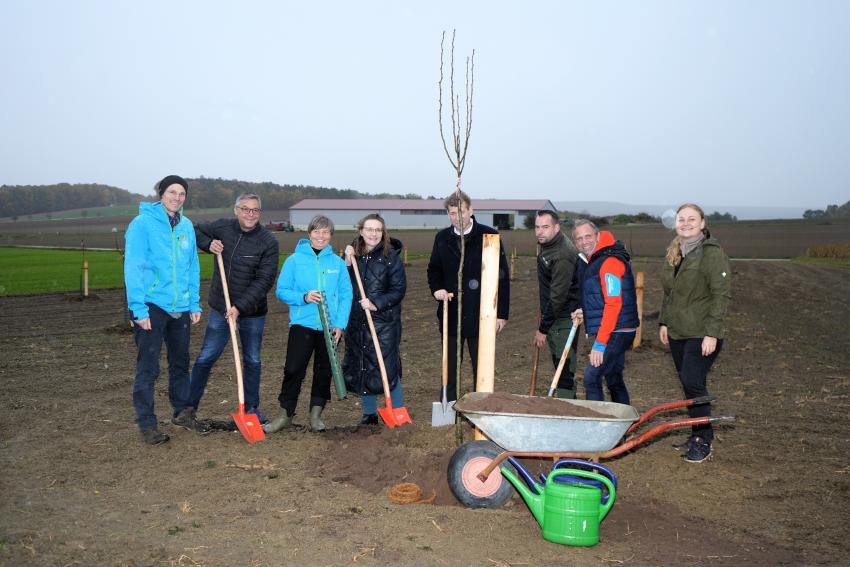 Bayerns Umweltminister Thorsten Glauber pflanzt zusammen mit den Mitgliedern des Landschaftspflegeverbands Forchheim e. V. einen Streuobstbaum auf einer neu entstehenden Streuobstwiese.