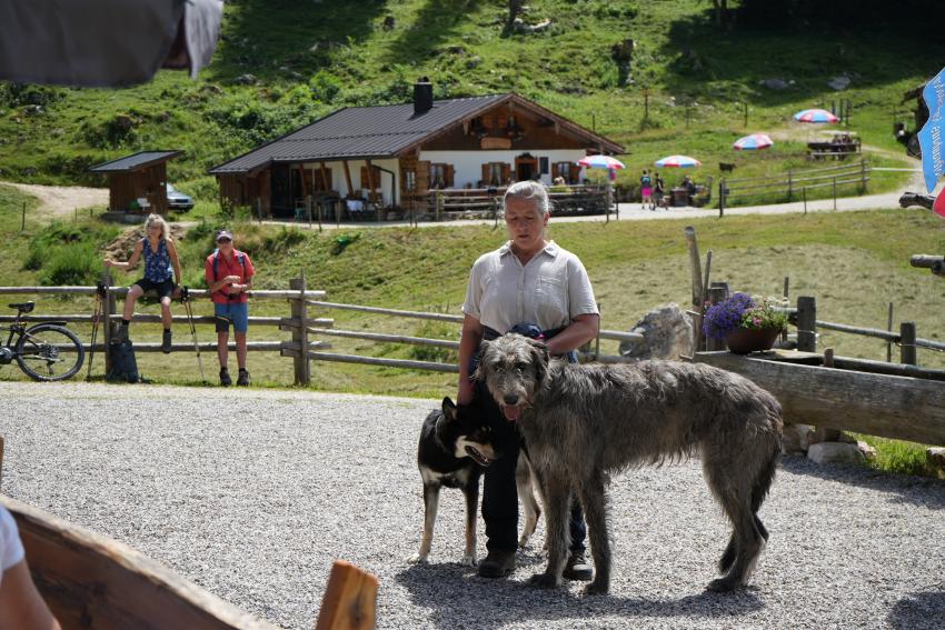 Mit den Hunden