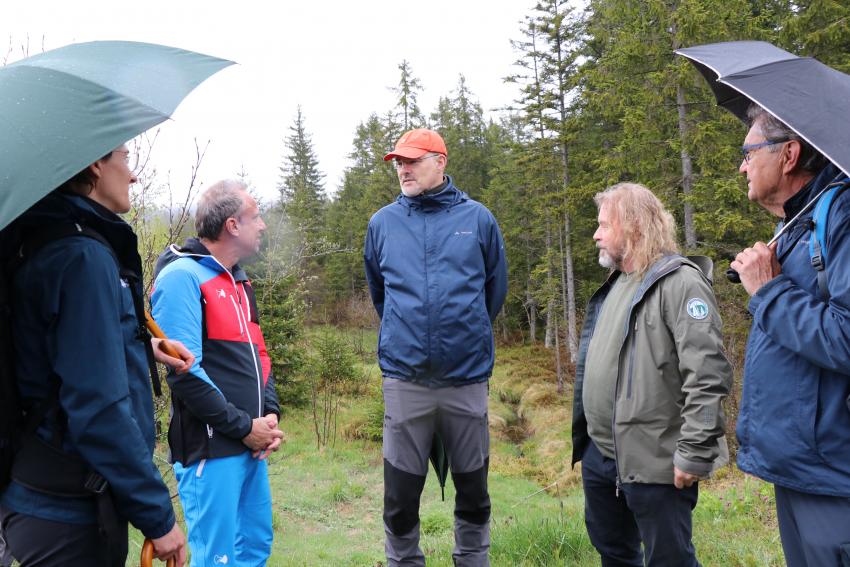Foto: Nationalparkverwaltung Bayerischer Wald