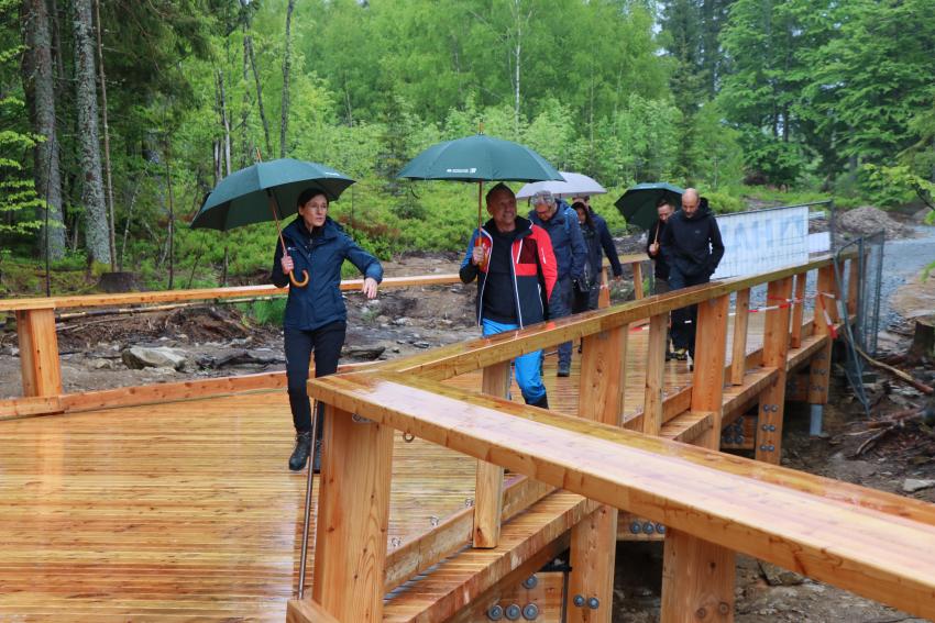 Foto: Nationalparkverwaltung Bayerischer Wald