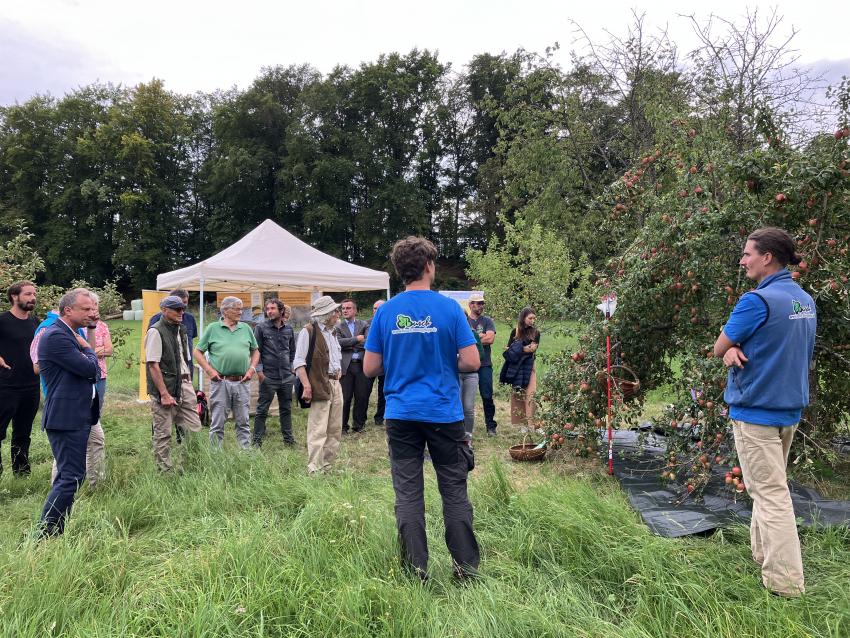 Umweltminister Thorsten Glauber informiert sich über Streuobstpflegemaßnahmen