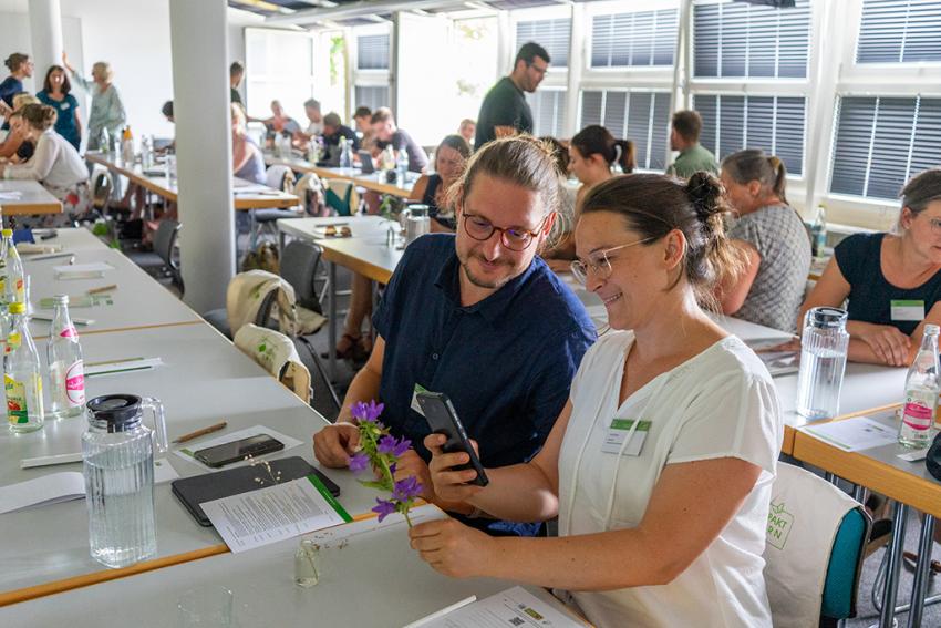 Teilnehmende beim Nutzen der Pflanzenbestimmungsapp 