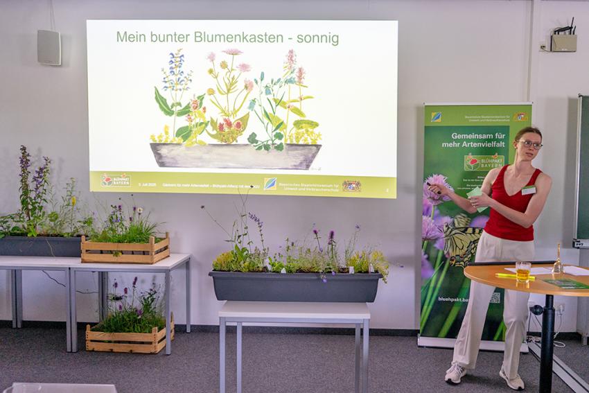 Vorstellung der Pflanzenpakete für Garten und Balkon im Rahmen des Projekts „Heimat.pflanzen – für Insekten“: Tessa Ehrhardt (Ehrhardt Stauden), Foto: Markus Wittenzeller