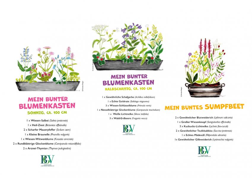 Mein bunter Blumenkasten (sonnig, halbschattig) und Mein buntes Sumpfbeet