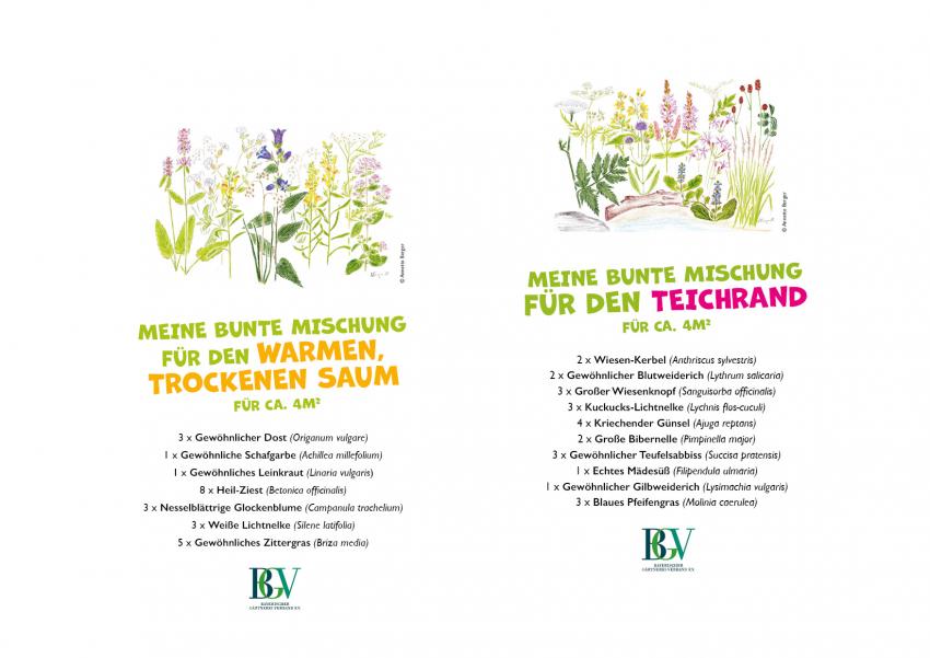 Meine bunte Mischung für den warmen, trockenen Saum und Meine bunte Mischung für den Teichrand
