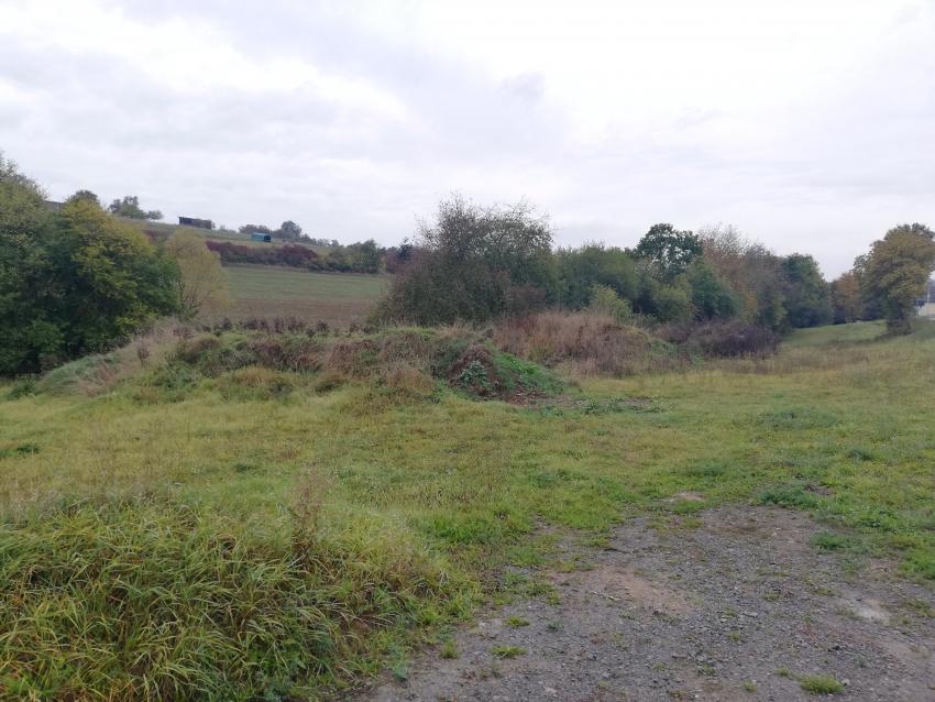 Ansicht der Projektfläche im Oktober 2023 vor der Maßnahmenumsetzung. Entlang der Straße im rechten Bildrand soll eine Totholzhecke entstehen. Im hinteren Bildrand, im Anschluss an die Erdaushube, soll eine Wiese mit typischen Wiesenkräutern und einer entsprechenden Pflege entstehen.