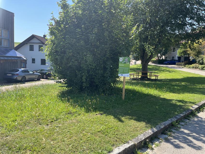 Die neu angelegten „Bunten Ecken“ werden mit der Zeit anfangen zu blühen, dann bieten die heimischen Blumen Nahrung für Insekten. Auch die neue Bank lädt zum Erholen und Verweilen ein.