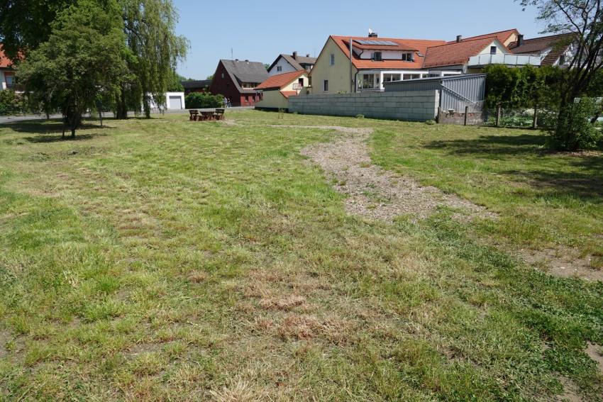 Ansicht der Projektfläche im Mai 2023 vor der Maßnahmenumsetzung. Die Fläche hat mit Ausnahme der Gehölze keine zusätzlichen Strukturen. Stellenweise sind kaum Kräuter und hauptsächlich Gräser vorhanden. 