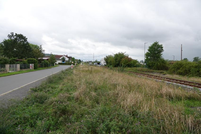 Ansicht der Teilfläche 1 im August 2023 vor der Maßnahmenumsetzung. Der Streifen entlang des Bahngleises war dominiert von Gräsern.