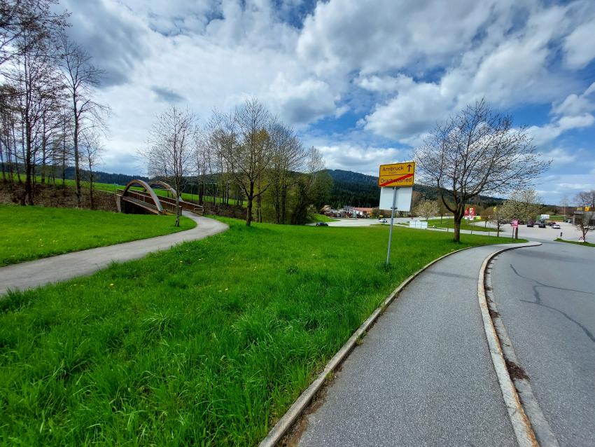Die Grünfläche neben der Fußgängerbrücke wird oft gemäht und gedüngt, daher hat hier Gras die besten Chancen