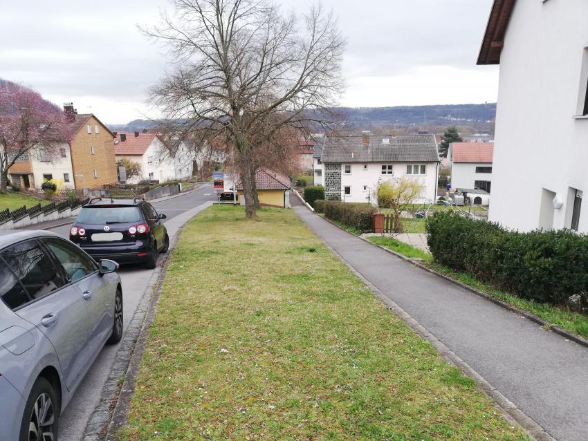 Ansicht der Teilfläche 1 im März 2024 vor der Pflegeumstellung. Die Fläche ist kurz gemäht, es blühen nur Gänseblümchen. So bietet die Grünfläche kaum Nahrung für Insekten.