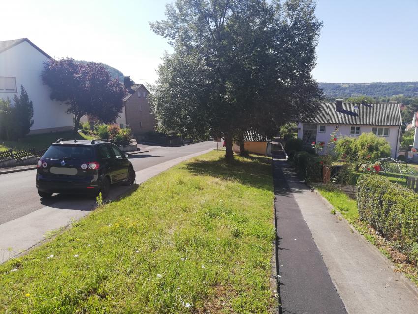 Ansicht der Teilfläche 1 im Juli 2024 nach der Pflegeumstellung. Die Vegetation ist nun höher, einzelne Arten wie Schafgarbe blühen. Hier ist noch etwas Geduld gefragt. In den nächsten Jahren sollten sich weitere blühende Wiesenblumen wie Wiesensalbei, Wilde Möhre und Wiesen-Flockenblume zeigen.