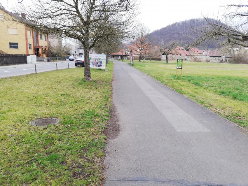 Ansicht der Teilfläche 2 im März 2024 vor der Pflegeumstellung. Ein typisches Bild eines Rasens, der häufig gemäht wurde.