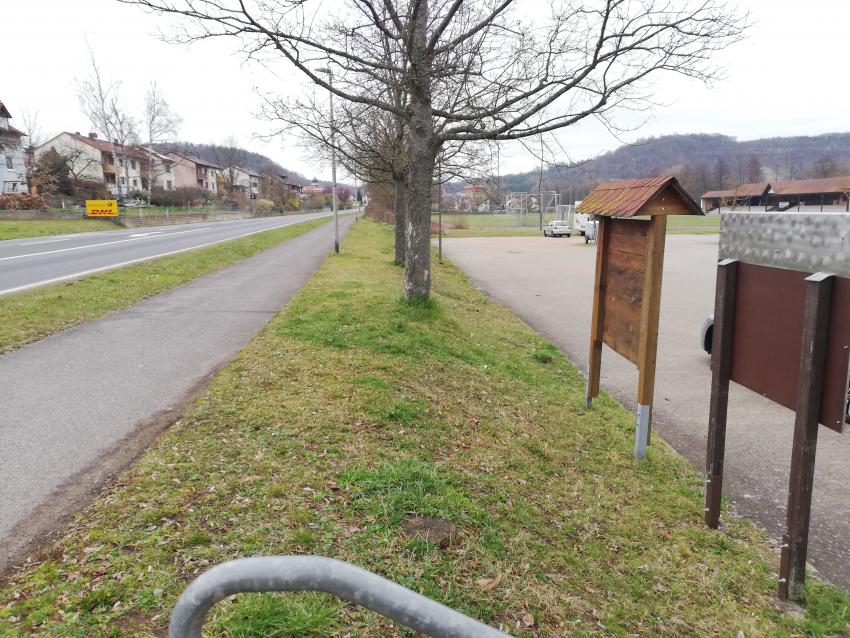 Ansicht der Teilfläche 3 im März 2024 vor der Pflegeumstellung. Auch hier zeigt sich aufgrund der regelmäßigen Pflege in kurzen Abständen das gleiche Bild: Das ganze Jahr über bietet diese Fläche kaum blühende Pflanzen.