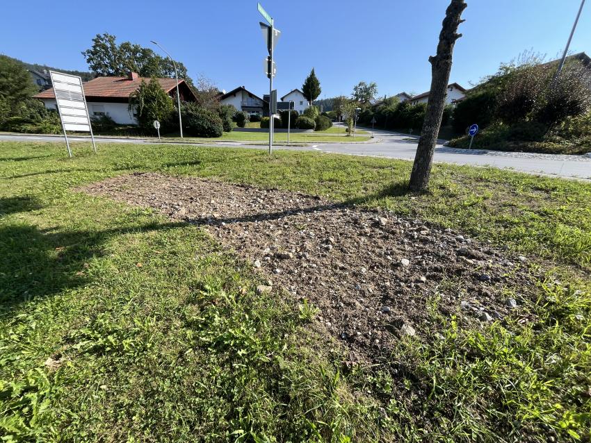 Die ersten Maßnahmen zur Vorbereitung des Bodens sind getan, es folgt noch die Mahdgutübertragung.