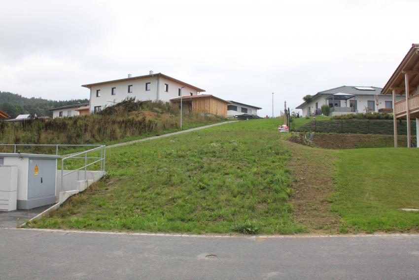 Ein ungenutztes Hangstück im Wohnbaugebiet, welches weder Mensch noch Tier zum Verweilen einlädt.