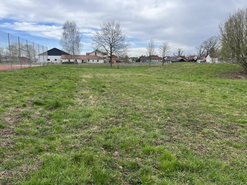 Eine große Rasenfläche, welche nicht viel zum Entdecken bietet.