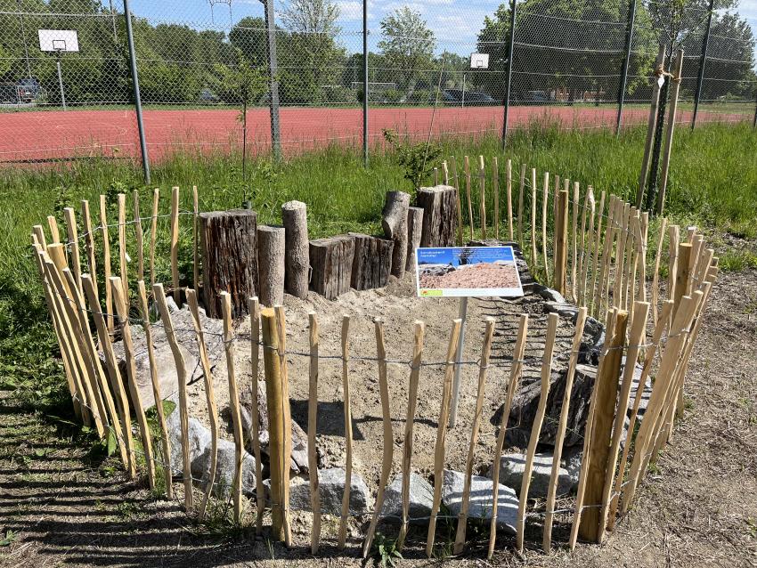 Hier wurde ein Sandarium geschaffen für bodennistende Insekten. Da ca. 80 Prozent der heimischen Wildbienen im Boden ihre Niströhren anlegen.