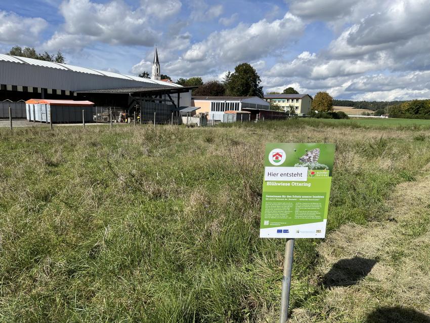 In Zukunft soll es hier blühen, und die Insekten sollen sich tummeln. Doch so eine Fläche zu entwickeln, braucht Zeit. Schauen wir mal, wie es im nächsten Frühjahr aussieht.
