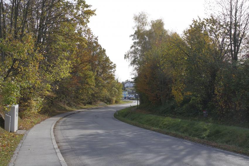 Die Böschung am Straßenrand ist zugewachsen, kein Licht trifft auf den darunter liegenden Boden. Da haben blühenden Pflanzen keine Chance zu wachsen.