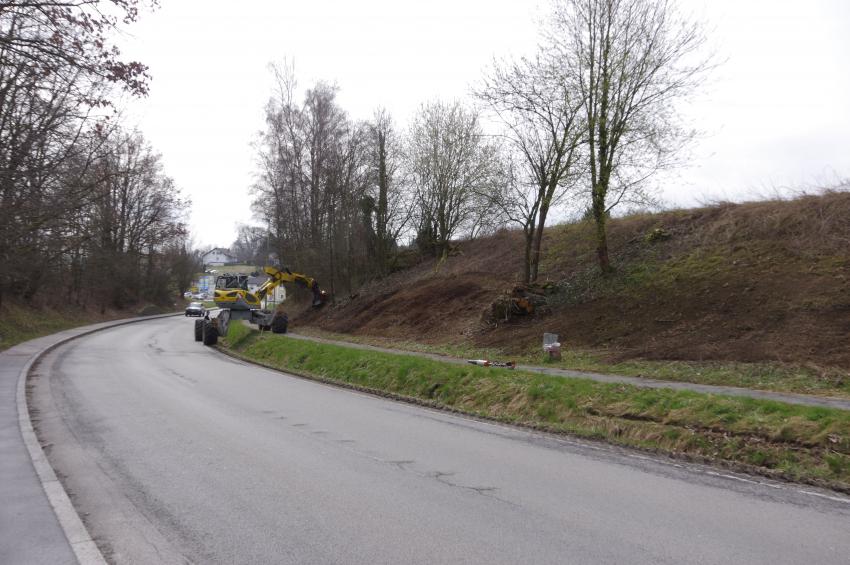 Die ersten Gehölze und eine verwucherte Bodenschicht wurden entfernt. Nun können dort durch eine Einsaat von regionalem Saatgut neue Pflanzen blühen und als Nahrungsquelle fungieren. 