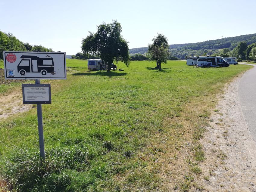 Ansicht der Teilfläche 3 im Juni 2023 vor der Maßnahmenumsetzung. Die Wiese ist grasdominiert und wird z.T. von Camping-Gästen zum Parken genutzt. Eine Pflege findet regelmäßig statt.