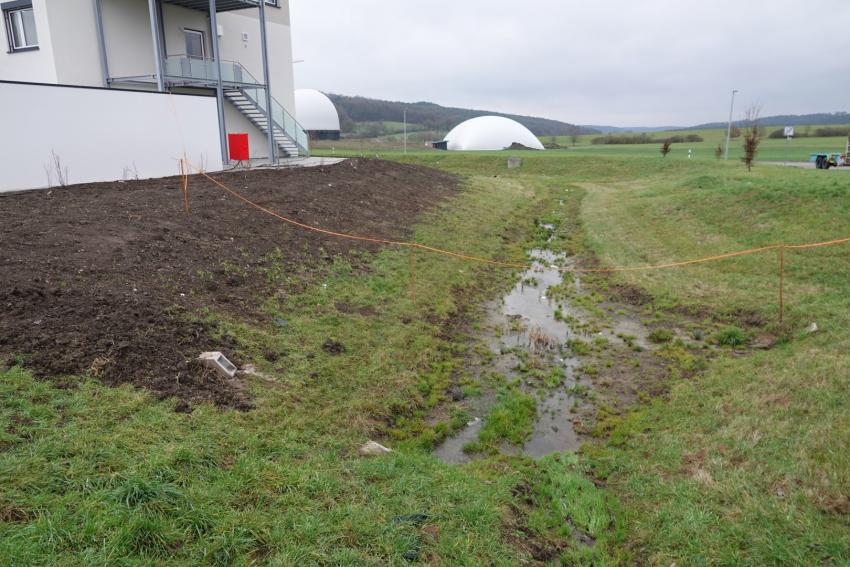 Ansicht der Teilfläche 2 im Dezember 2024 nach der Maßnahmenumsetzung. Nach Fertigstellung des angrenzenden Gebäudes wurden heimische Sträucher wie Schwarzer Holunder, Eingriffeliger Weißdorn und Haselstrauch gepflanzt.