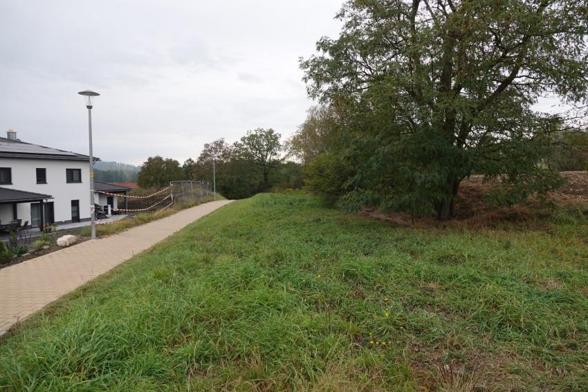 Ansicht der Teilfläche 1 im Oktober 2023 vor der Maßnahmenumsetzung. Auf dem artenarmen Streifen sollte künftig eine extensive Mahd zur Aushagerung stattfinden. Außerdem sollte die bestehende Hecke gepflegt und durch die Pflanzung weiterer heimischer Gehölze ergänzt werden.