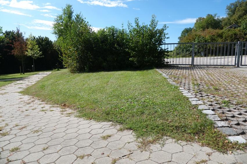 Ansicht der Projektfläche im September 2023 vor der Maßnahmenumsetzung. Zu sehen ist eine kleine Fläche zwischen Wegen, die bisher als Vielschnittrasen gepflegt wurde.