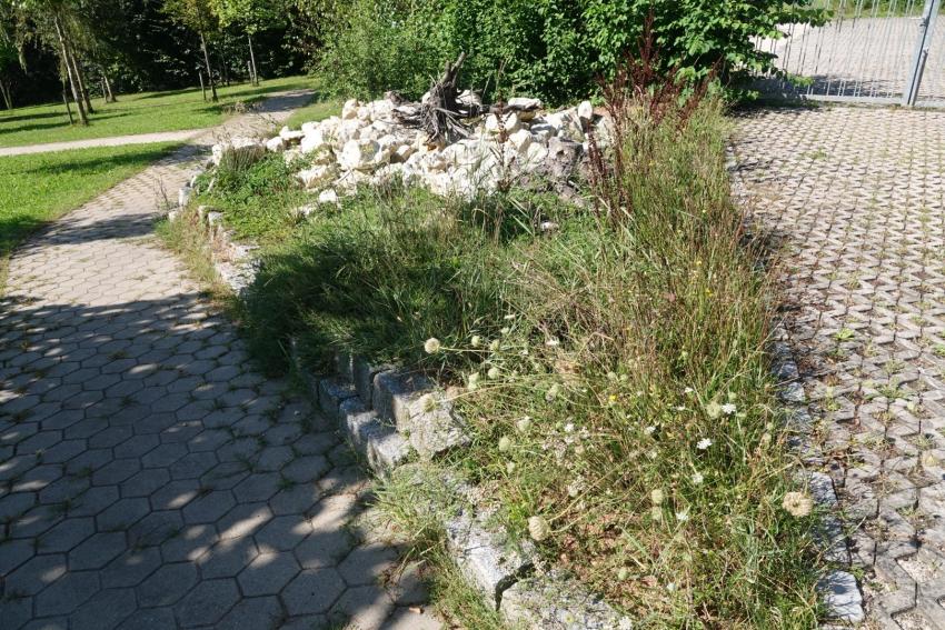 Ansicht der Projektfläche im Juli 2024 nach der Maßnahmenumsetzung. Der neu angelegte Steinhaufen mit sandigem Untergrund und Totholz soll vielen Tieren einen Lebensraum und Unterschlupf bieten.