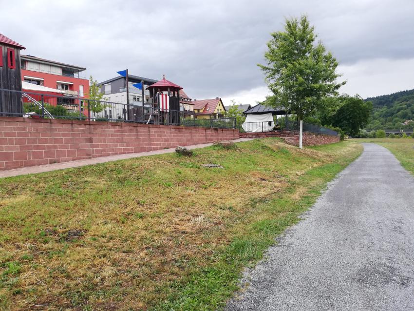 Ansicht der Teilfläche 1 im Juli 2023 vor der Maßnahmenumsetzung. Auf der kommunalen Grünfläche unterhalb des Mehrgenerationenplatzes befand sich ein Rasen mit geringem Blütenangebot. 