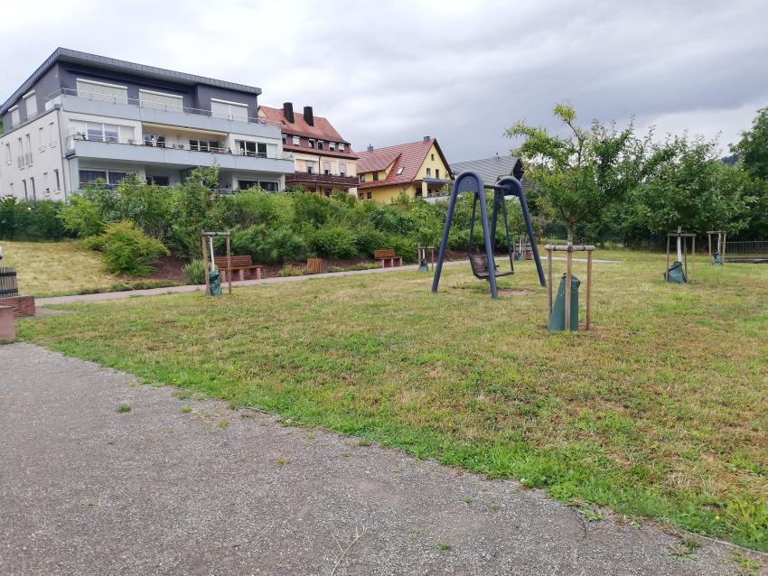 Ansicht der Teilfläche 2 im Juli 2023 vor der Maßnahmenumsetzung. Bei der Fläche handelt es sich um eine artenarme Wiese auf dem Mehrgenerationenplatz.