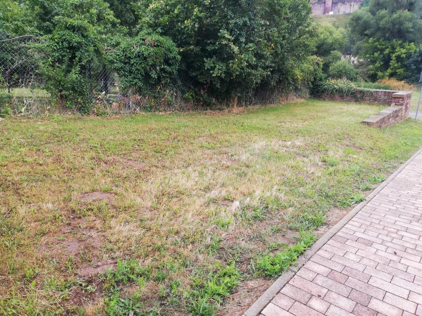 Ansicht der Teilfläche 3 im Juli 2023 vor der Maßnahmenumsetzung. Die Grünfläche ist kurz gemäht und ohne Nahrungsangebot für Tiere.