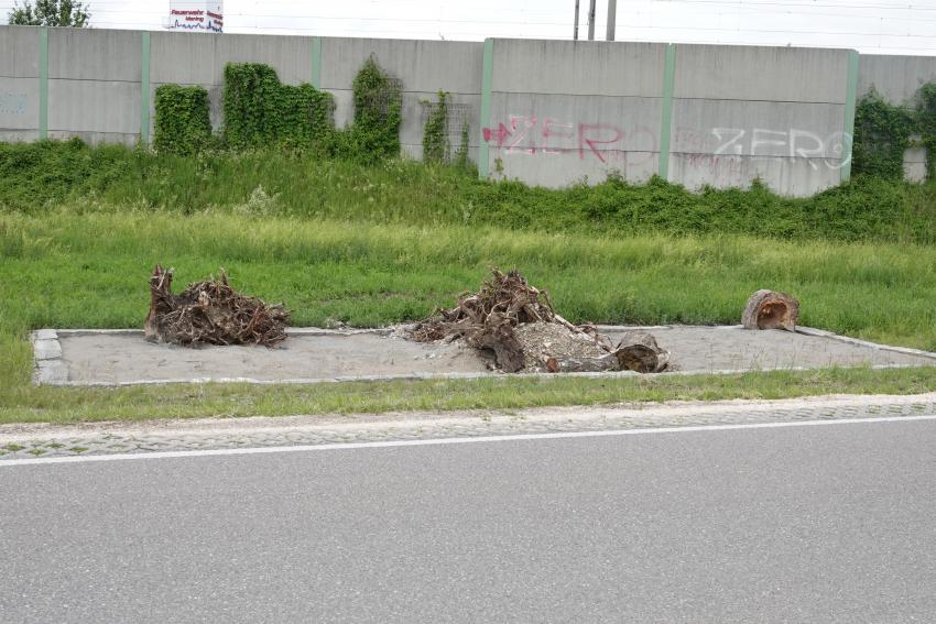 Fläche 2: Sandarium als Nisthilfe für Wildbienen