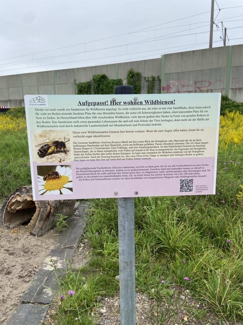 test 1: Schild der Schule