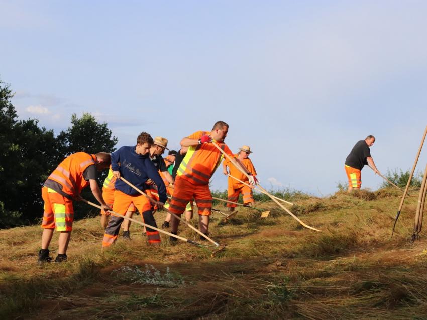 Auf der Spenderfläche wurde das frisch gemähte Mahdgut in mühevoller Handarbeit zusammengerecht.