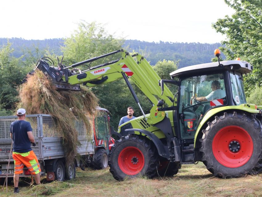 Das Verladen des Mahdguts auf der Spenderfläche erfolgte mit maschineller Hilfe.