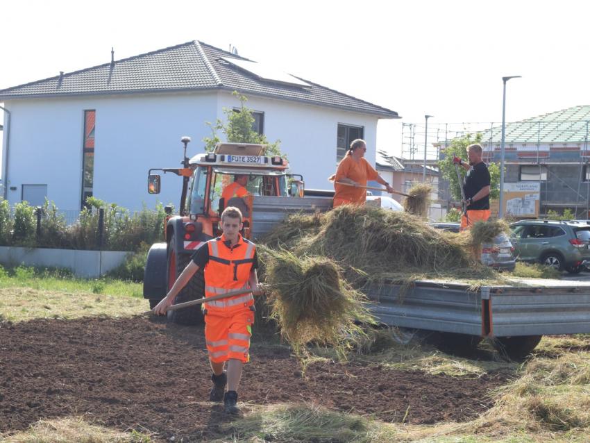 Auf der Empfängerfläche wurde das transportierte Mahdgut gleichmäßig auf den gut vorbereiteten Boden verteilt.
